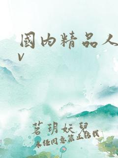 国内精品人妻av
