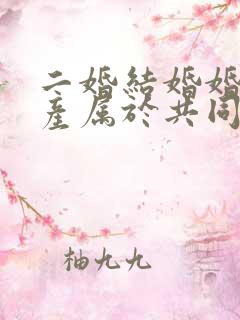 二婚结婚婚前财产属于共同财产吗