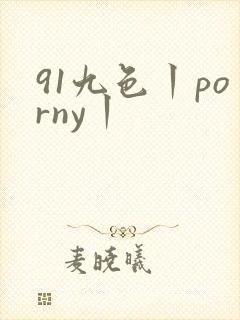 91九色丨porny丨