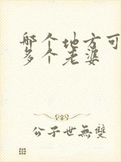 哪个地方可以娶多个老婆