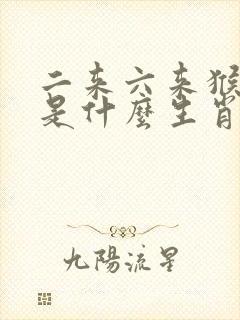 二来六来猴发财是什么生肖