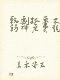 韩剧孤单又灿烂的神免费观看