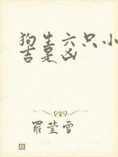 狗生六只小狗是吉是凶