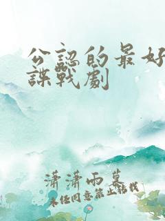 公认的最好看的谍战剧