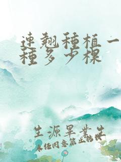 连翘种植一亩地种多少棵