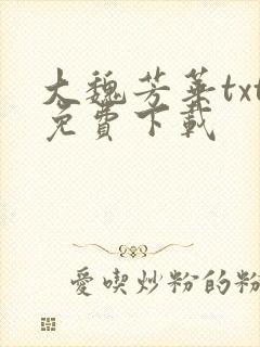 大魏芳华txt免费下载