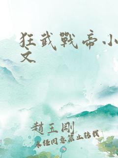 狂武战帝小说全文