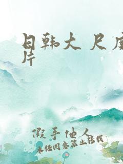 日韩大 尺度影片