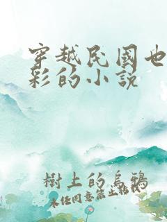 穿越民国也很精彩的小说 穿越民国也很精彩的小说