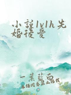 小说1v1h先婚后爱