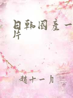 日韩国产一级淫片