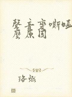 声音变嘶哑是什么原因