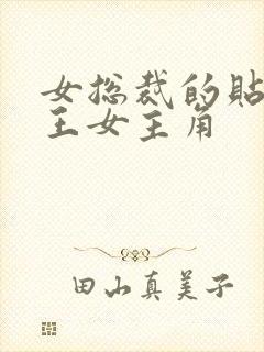 女总裁的贴身兵王女主角