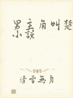 男主角叫楚修的小说