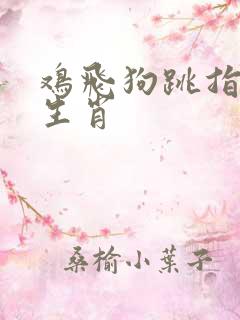 鸡飞狗跳指三大生肖