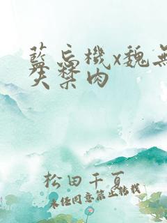 蓝忘机x魏无羡失禁肉