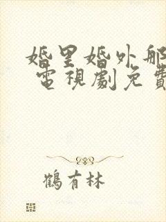 婚里婚外那些事 电视剧免费观看