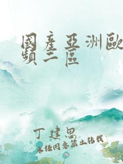 国产亚洲欧美视频二区