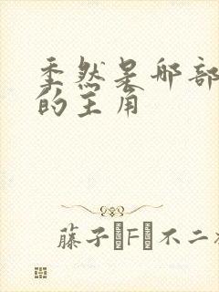 季然是哪部小说的主角