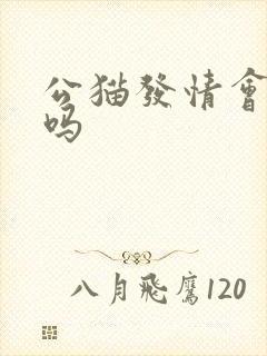 公猫发情会乱尿吗