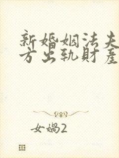新婚姻法夫妻一方出轨财产怎么分割