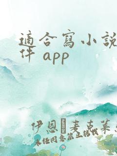 适合写小说的软件 app