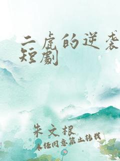 二虎的逆袭人生短剧