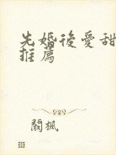 先婚后爱甜宠文推荐