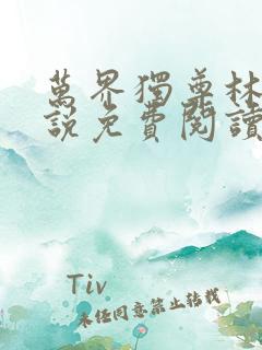 万界独尊林枫小说免费阅读