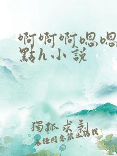 啊啊啊嗯嗯嗯轻点h小说