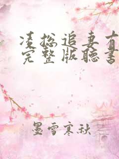 凌总追妻有点甜完整版听书