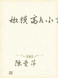 嫩模高h小说