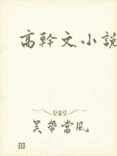 高干文小说h