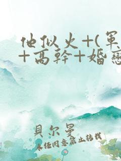 他似火+(军婚+高干+婚恋)
