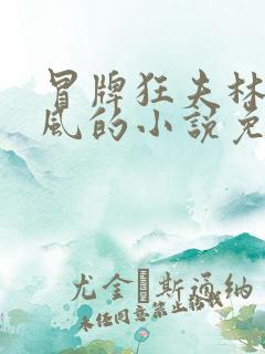 冒牌狂夫林悦顾风的小说免费阅读