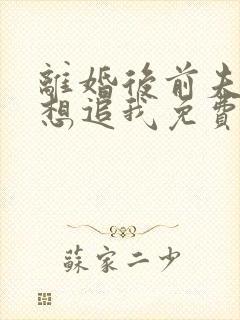离婚后前夫总是想追我免费下载全本txt
