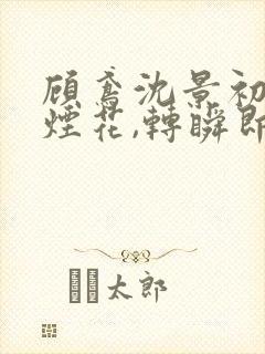 顾鸢沈景初爱如烟花,转瞬即逝阅读全文