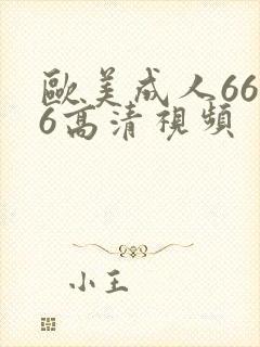 欧美成人6666高清视频