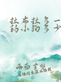 拉布拉多一个月的小狗多少钱