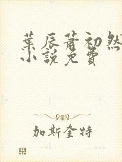 叶辰萧初然最新小说免费