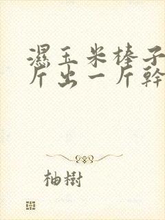 湿玉米棒子多少斤出一斤干颗粒