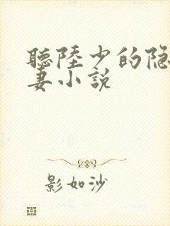 听陆少的隐婚罪妻小说