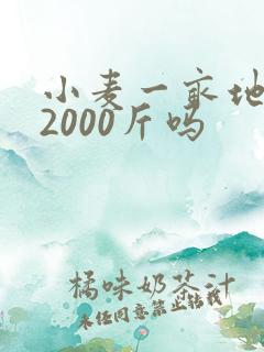 小麦一亩地能产2000斤吗