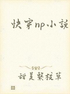 快穿np小说h