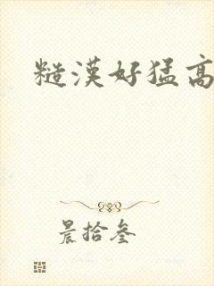 糙汉好猛高h