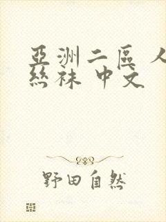 亚洲二区 人妻丝袜 中文