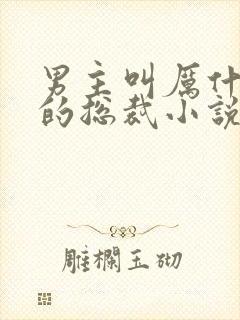 男主叫厉什么爵的总裁小说
