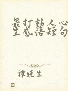 最打动人心的人生感悟短句