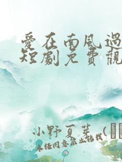 爱在南风过境时短剧免费观看