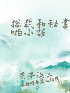 总裁和秘书啪啪啪小说